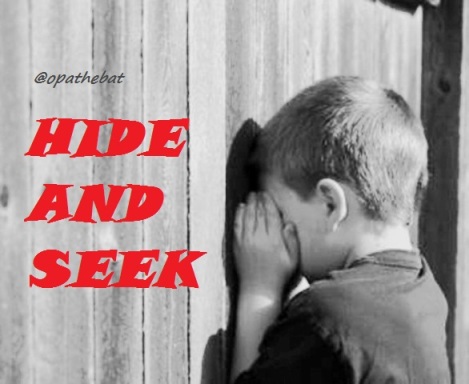 Hide-and-Seek-Game2